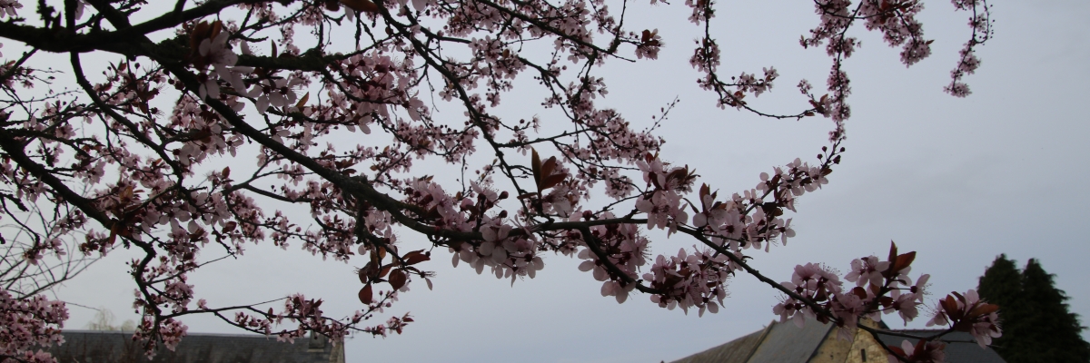 Photo principale gite Longère